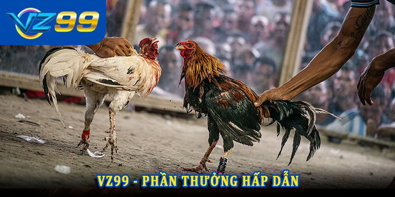Tỷ lệ cược cạnh tranh và phần thưởng hấp dẫn