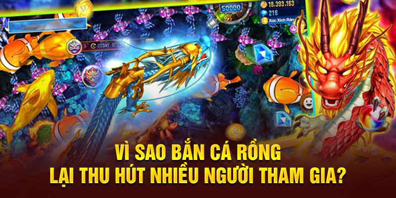 Phân tích từng cấp độ cá để tăng cơ hội thắng